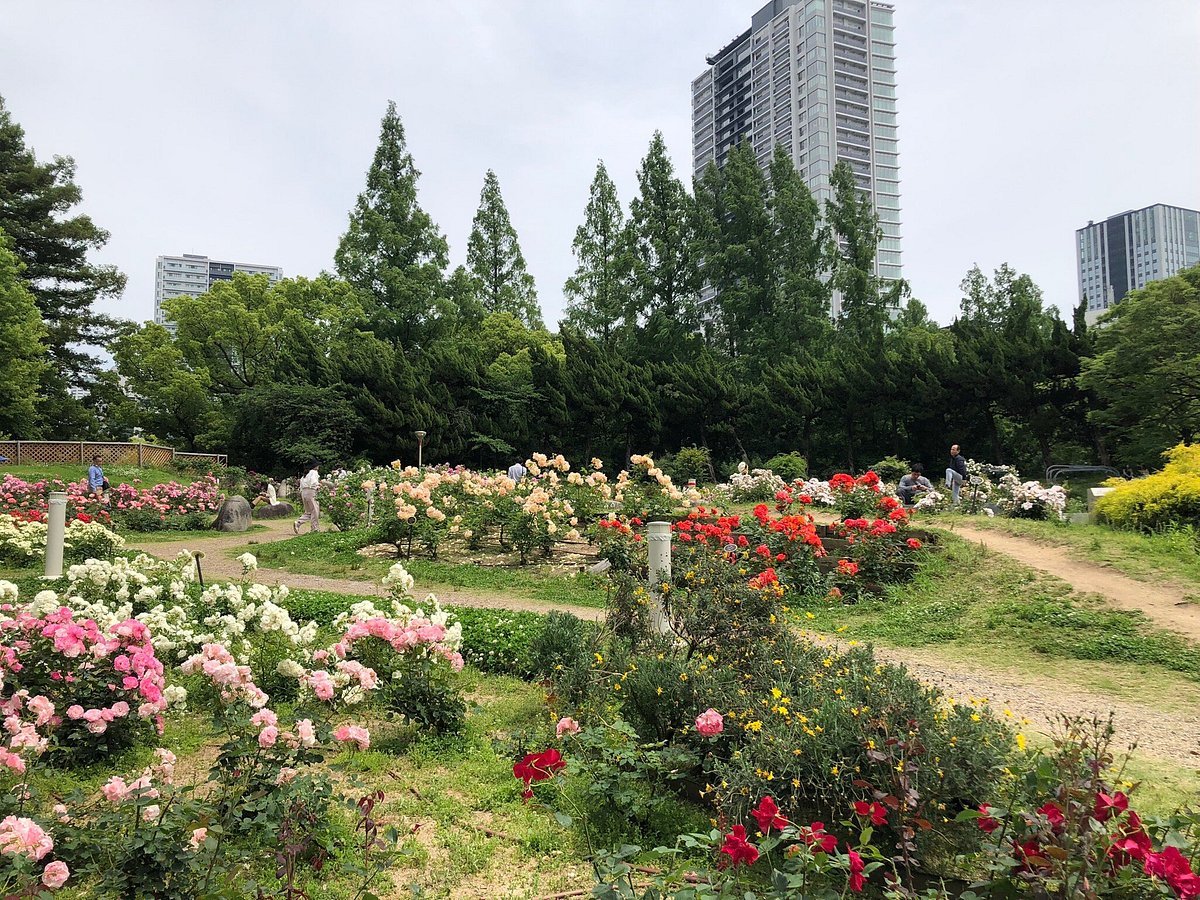 🌳 우쓰보 공원 이미지 3